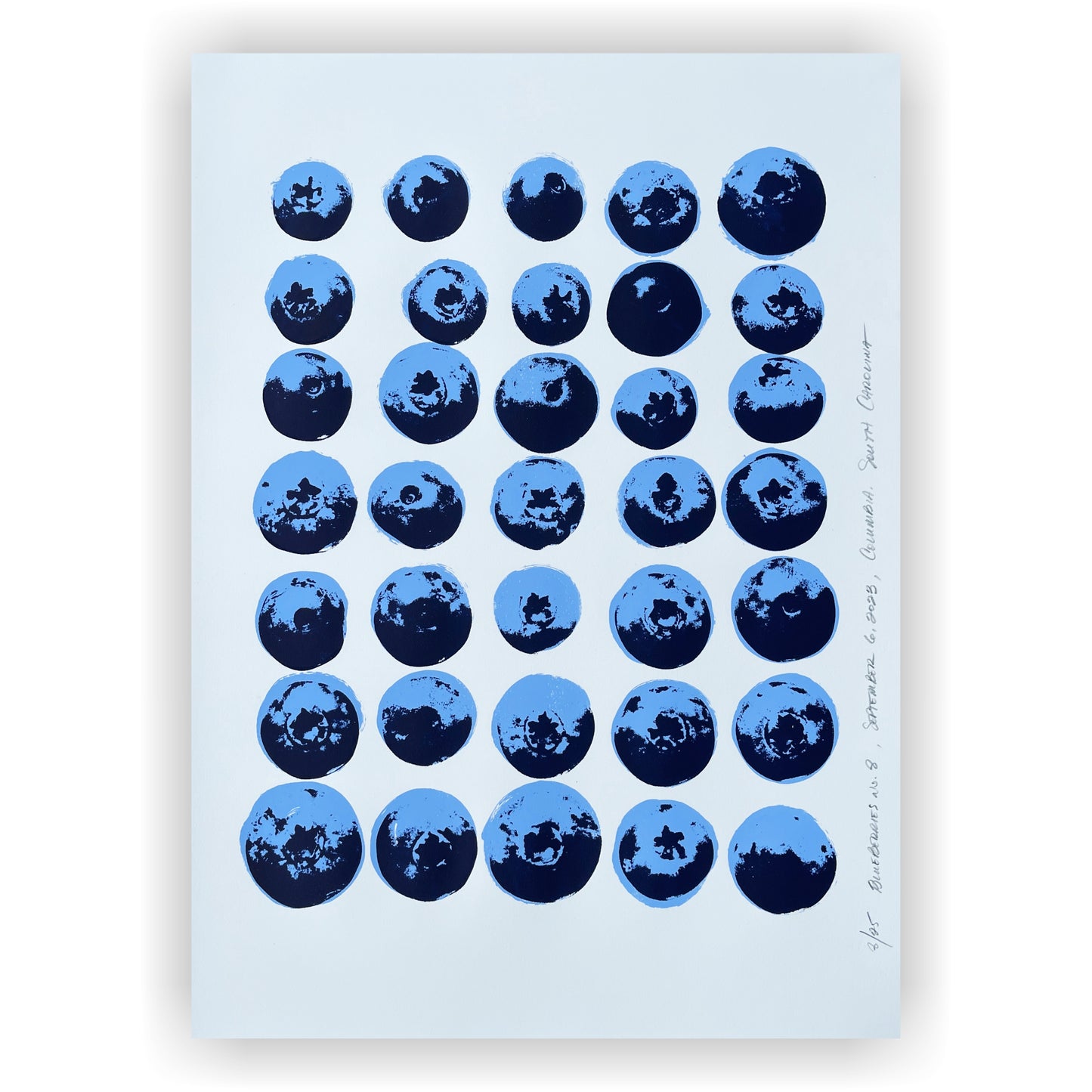 Blueberries no. 8