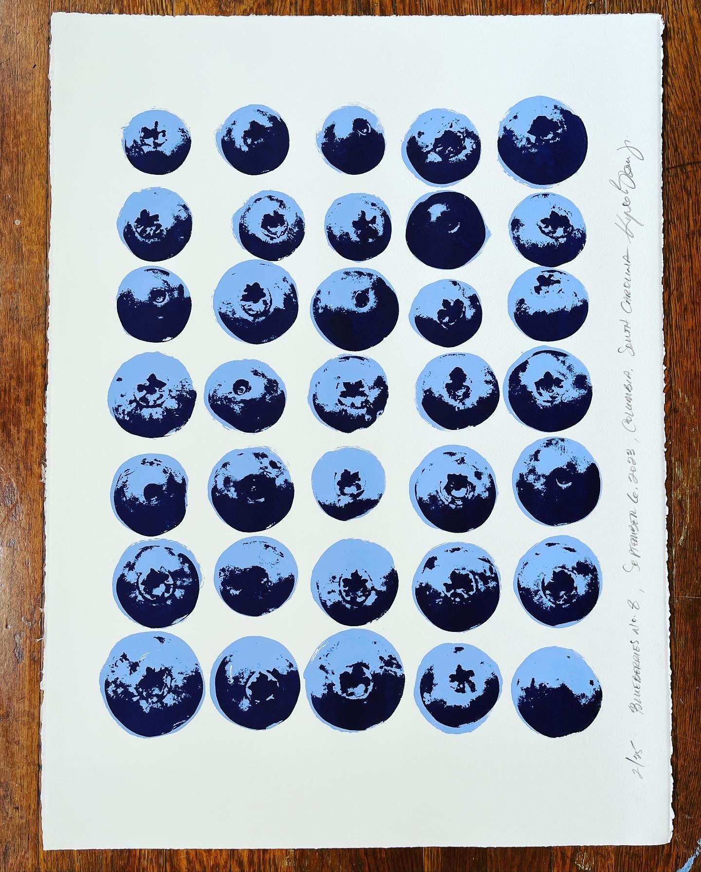 Blueberries no. 8