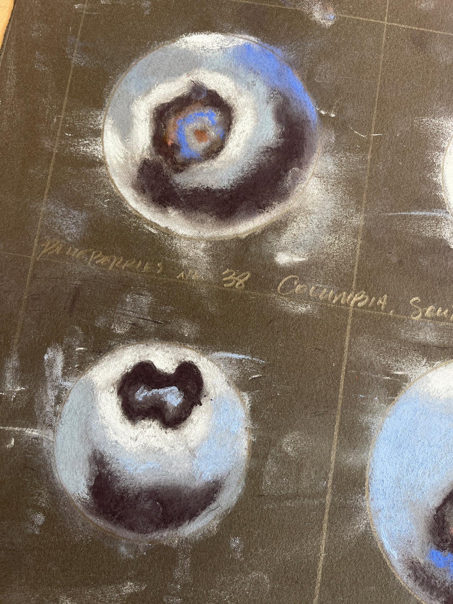 Blueberries no. 38