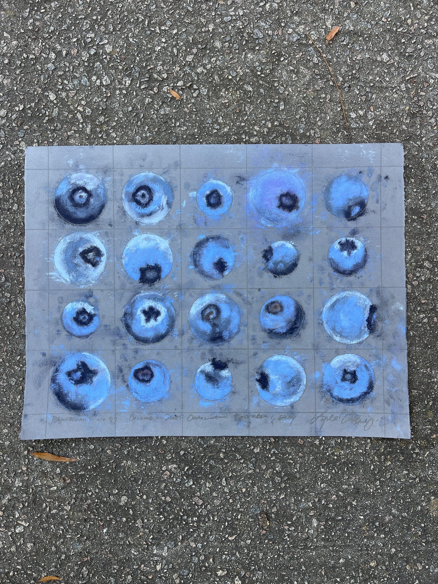 Blueberries no. 39