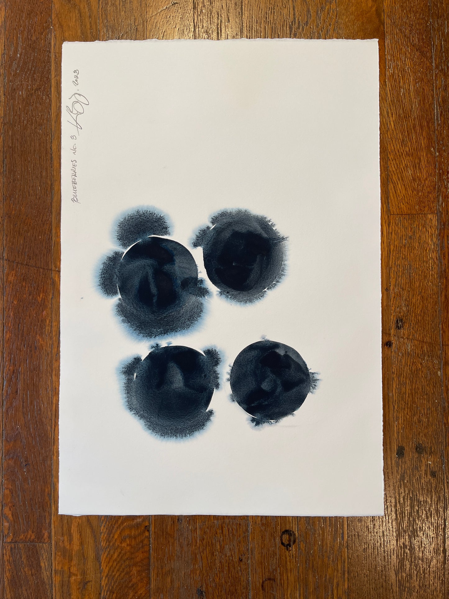 Blueberries no. 3