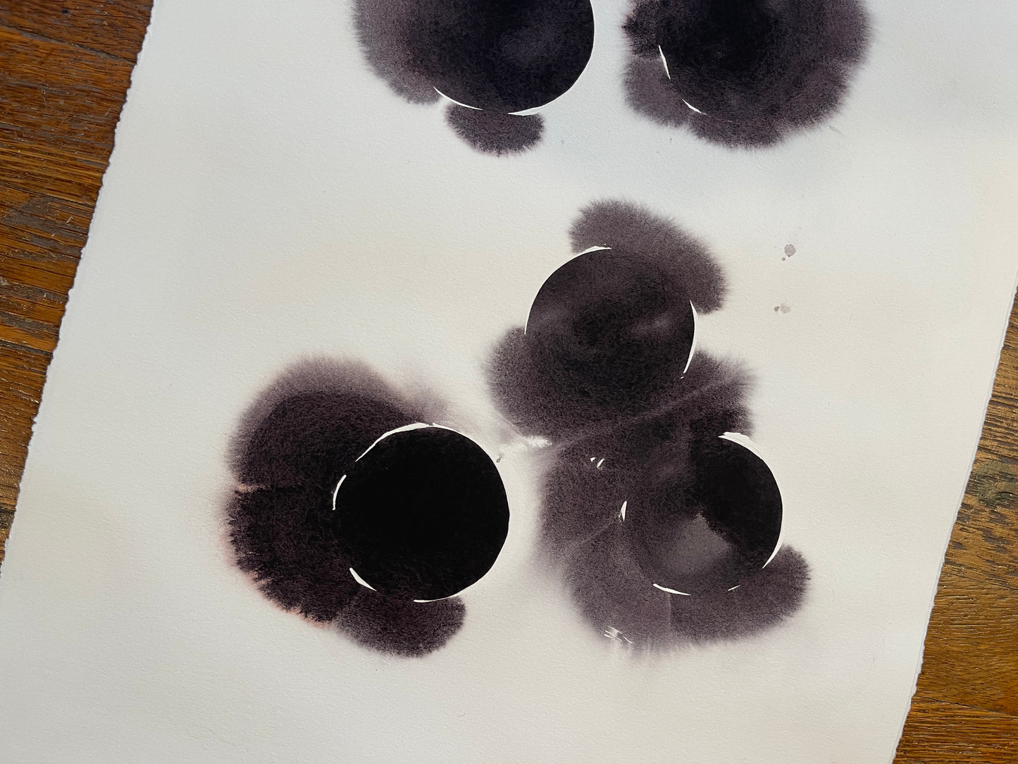 Muscadines no. 10