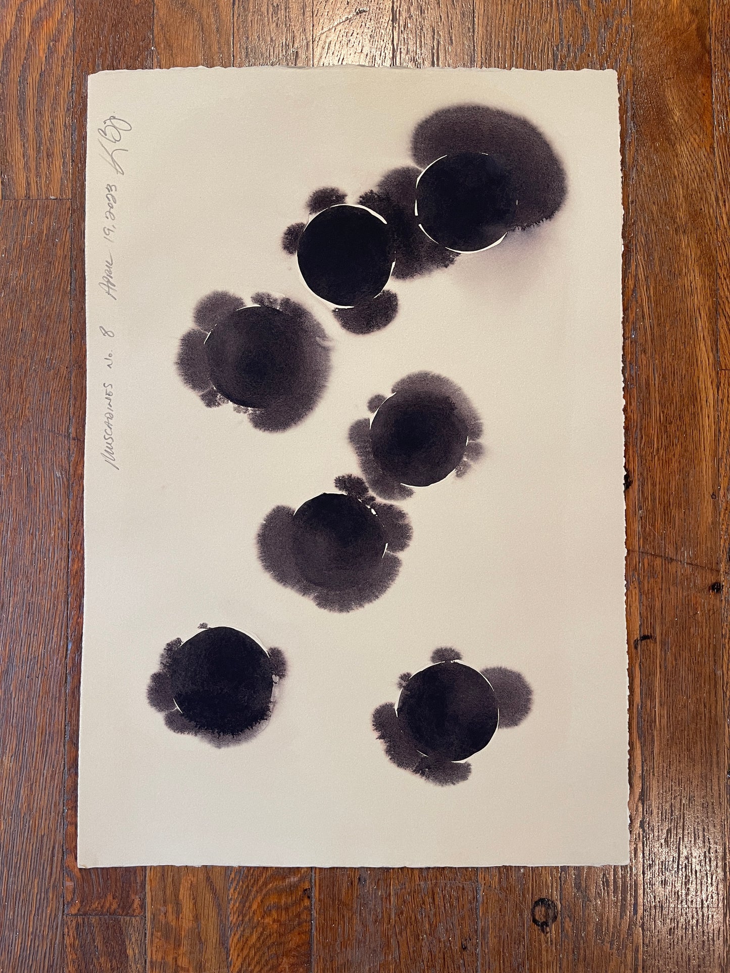 Muscadines no. 8