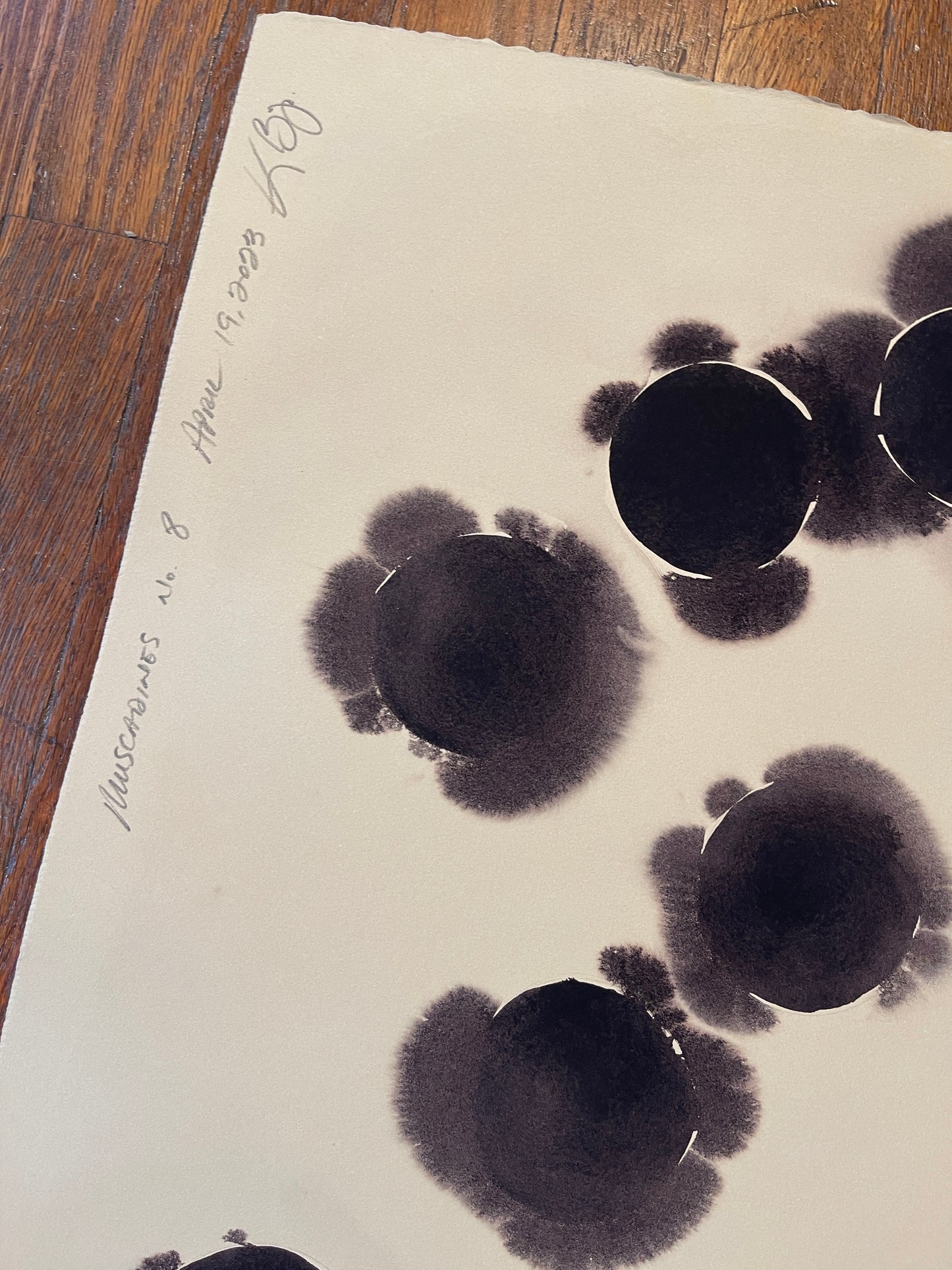 Muscadines no. 8