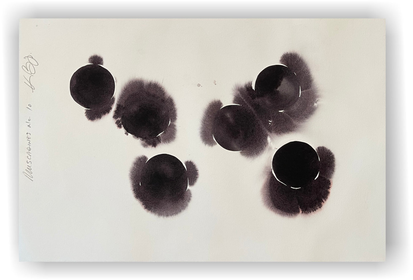 Muscadines no. 10