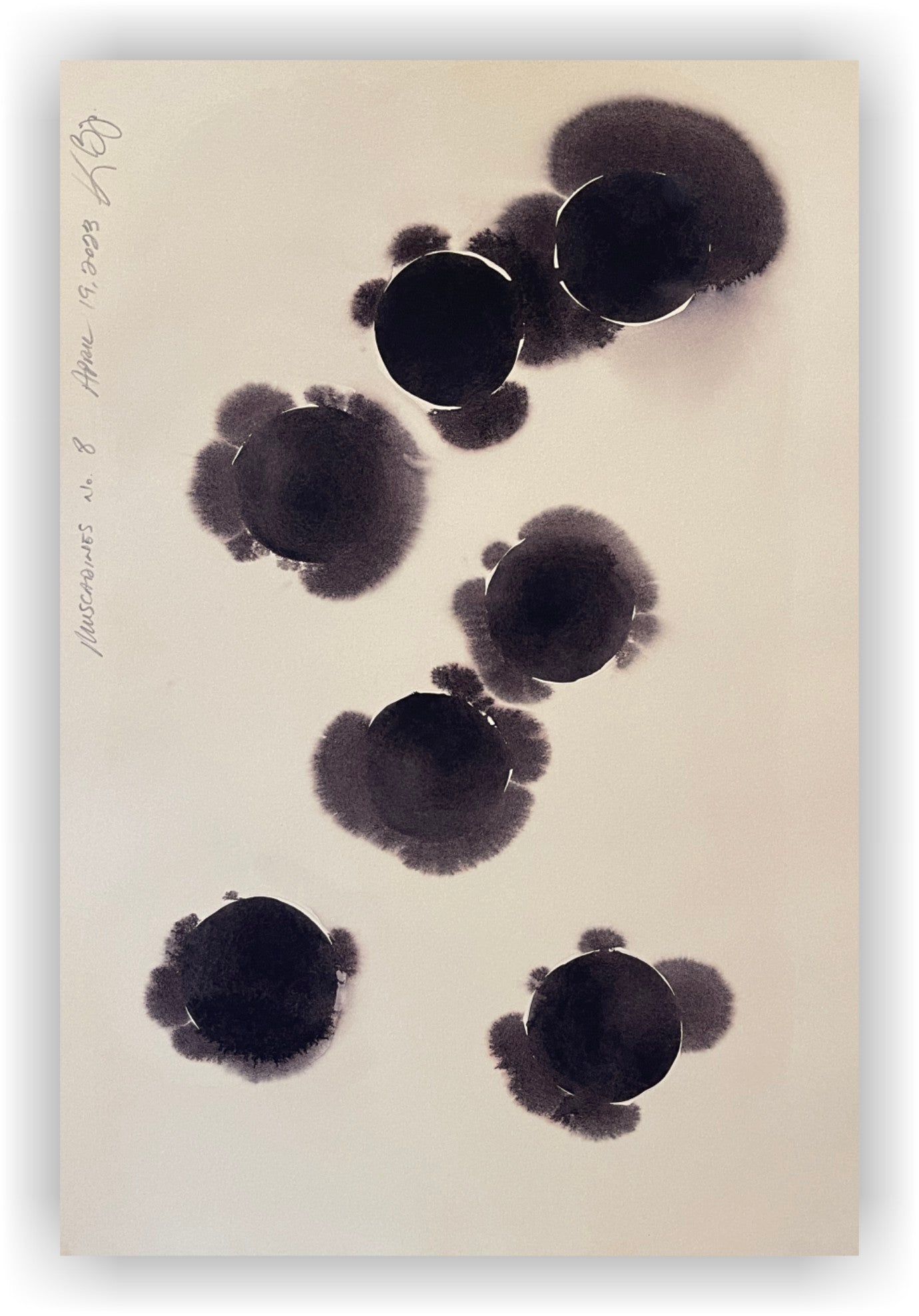 Muscadines no. 8