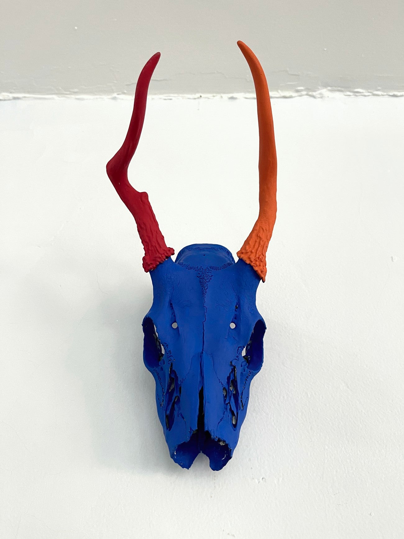 Locust Deer