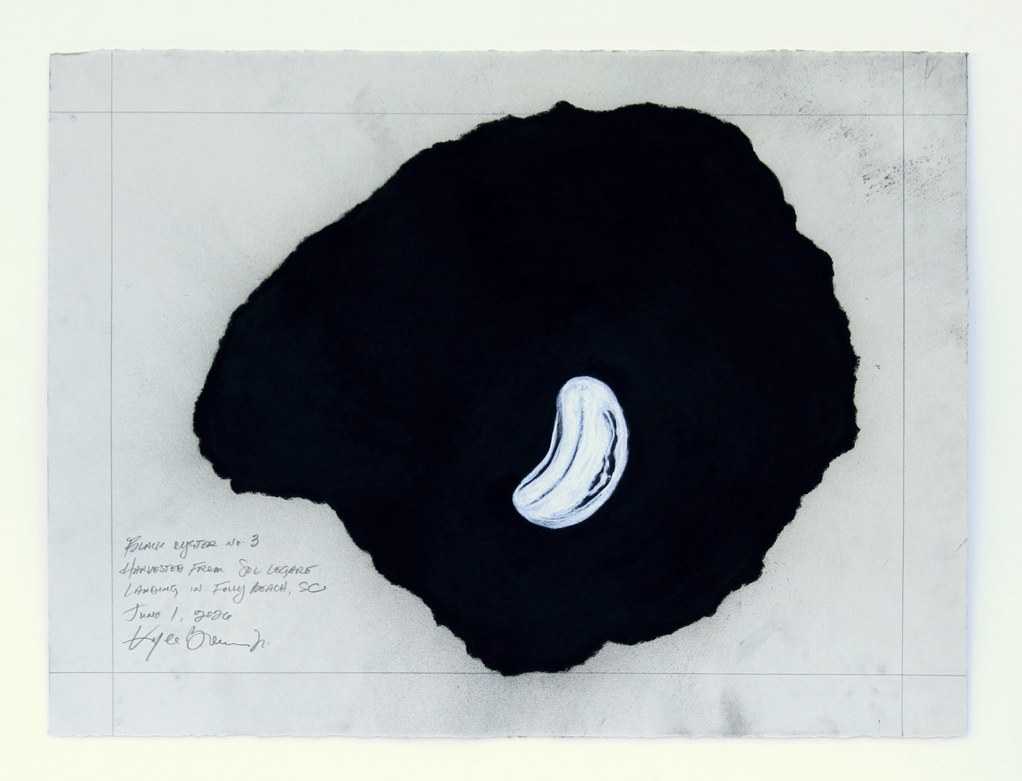 Black Oyster  no. 3 (framed)