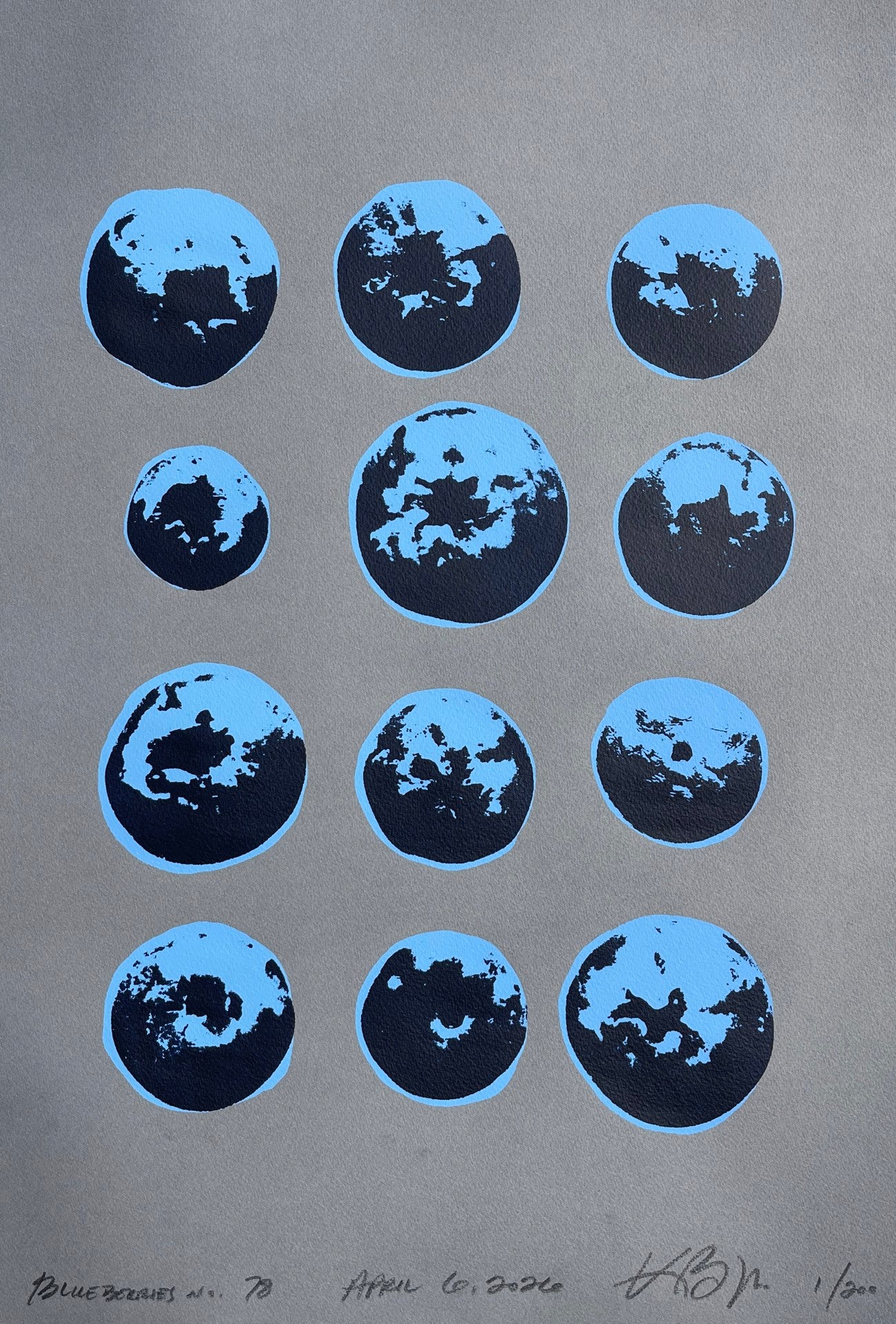 Blueberries no. 78 (unframed)