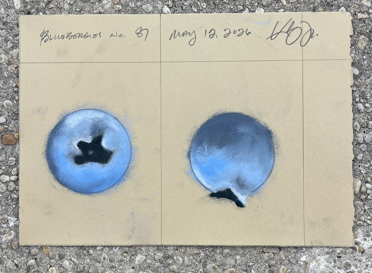 Blueberries no. 87 (unframed)