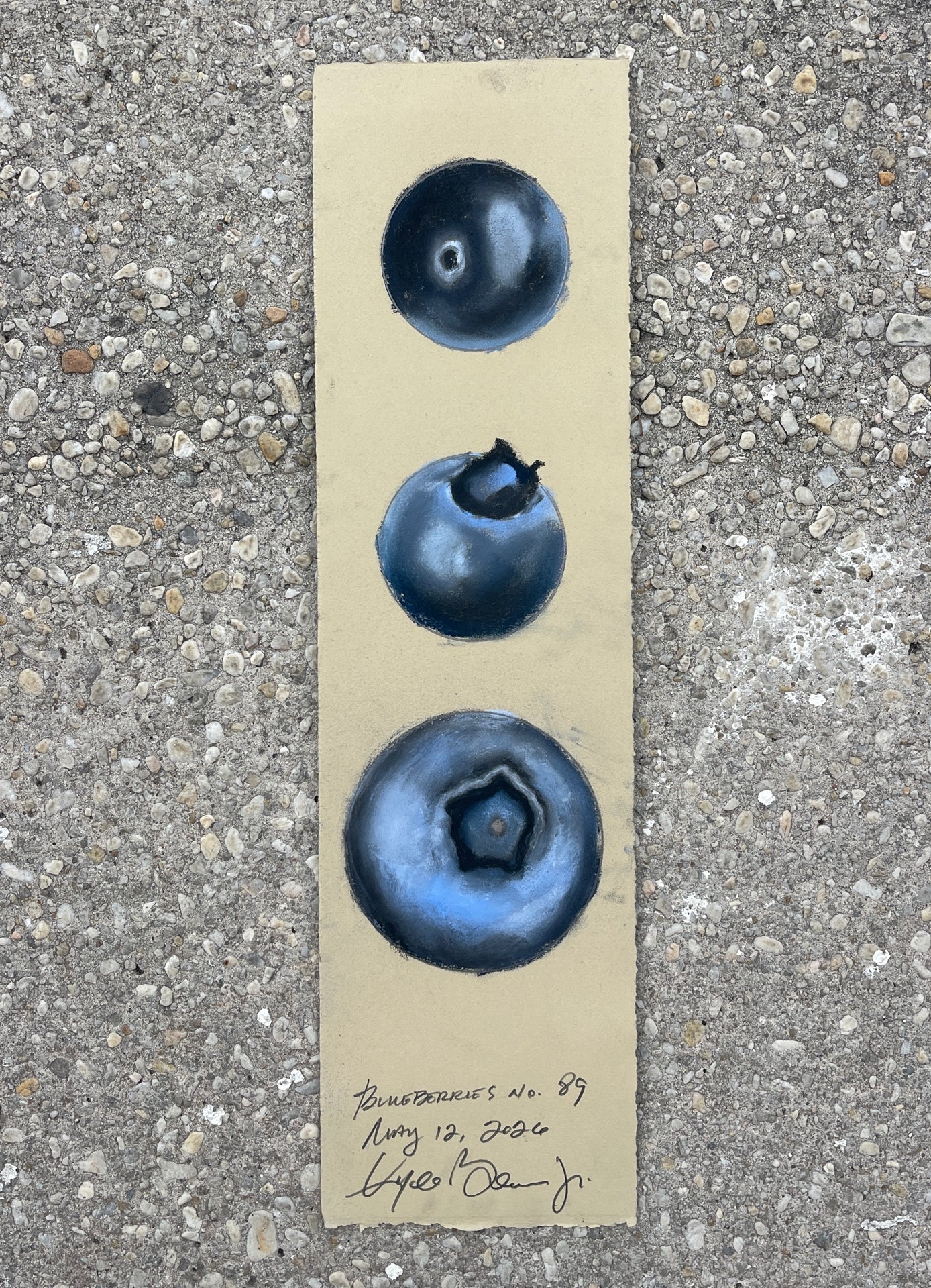 Blueberries no. 89 (unframed)