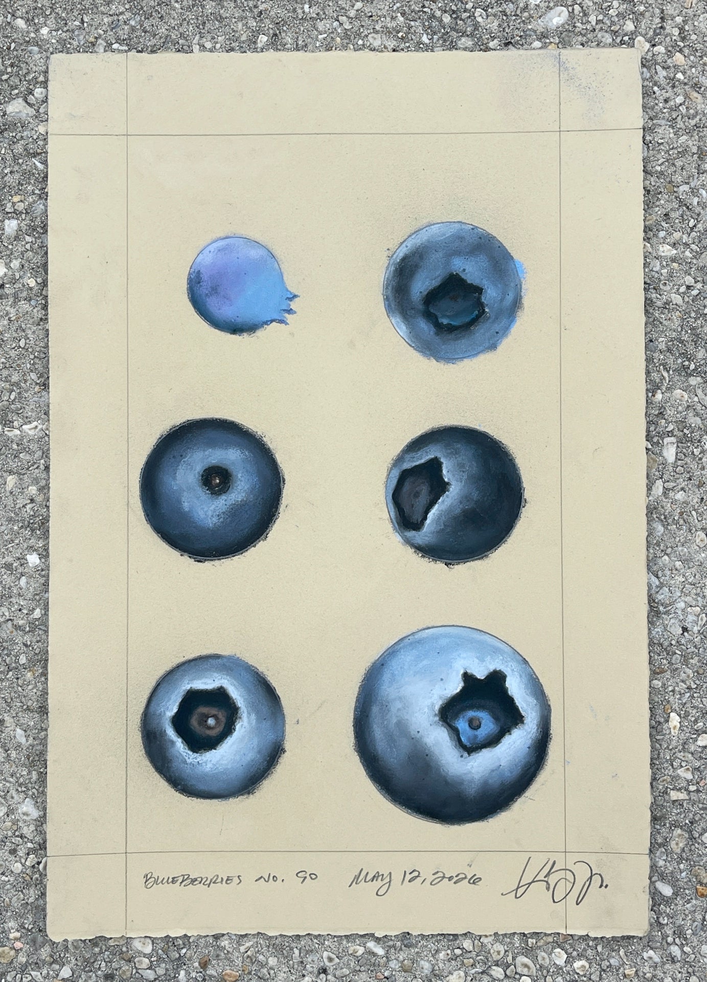 Blueberries no. 90 (unframed)