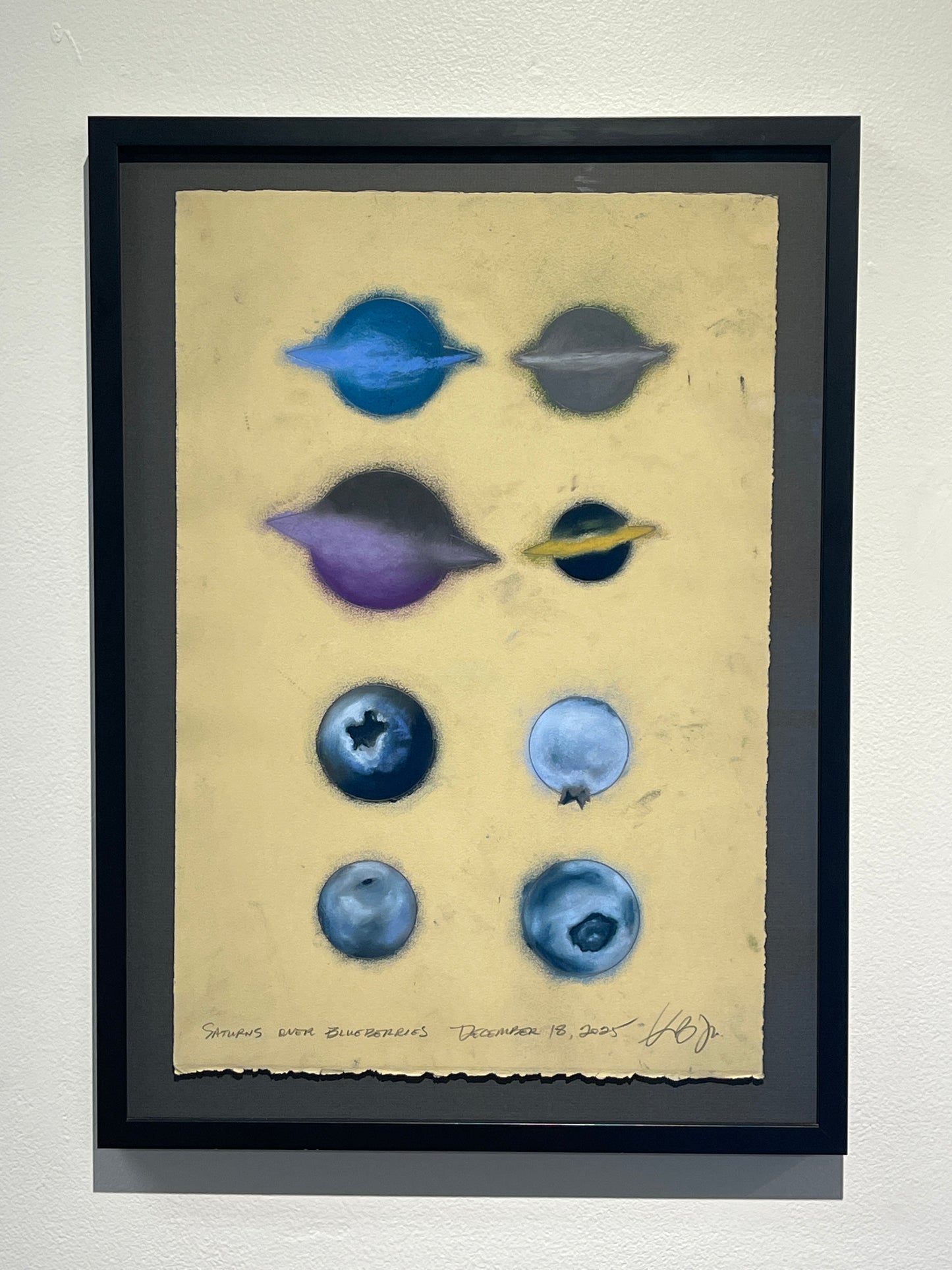 Saturns and Blueberries (framed)