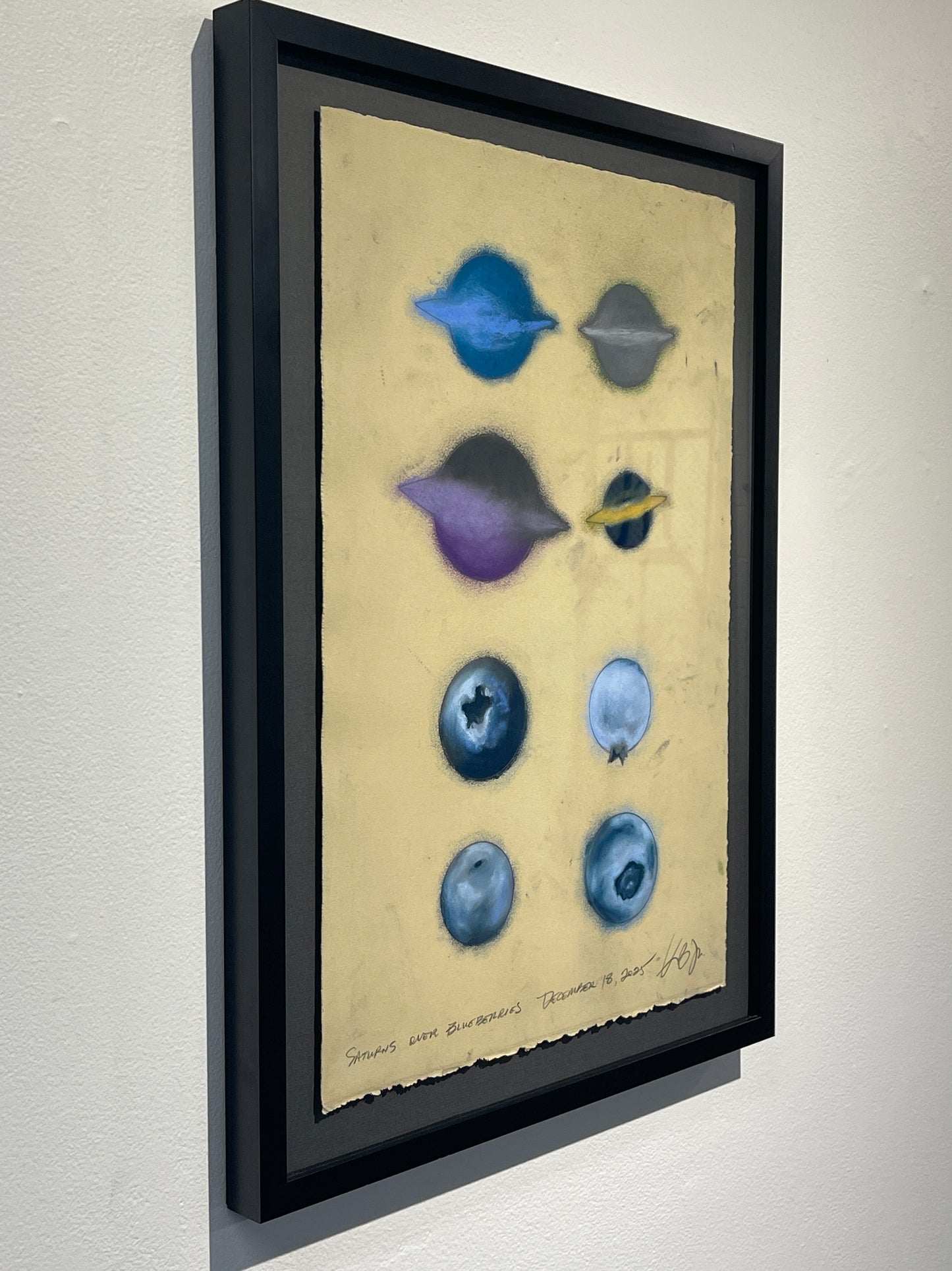 Saturns and Blueberries (framed)