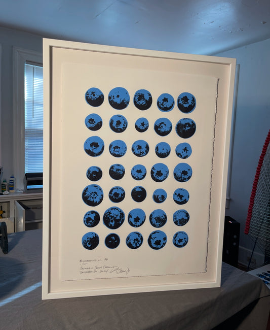 Blueberries no. 43 -  white frame