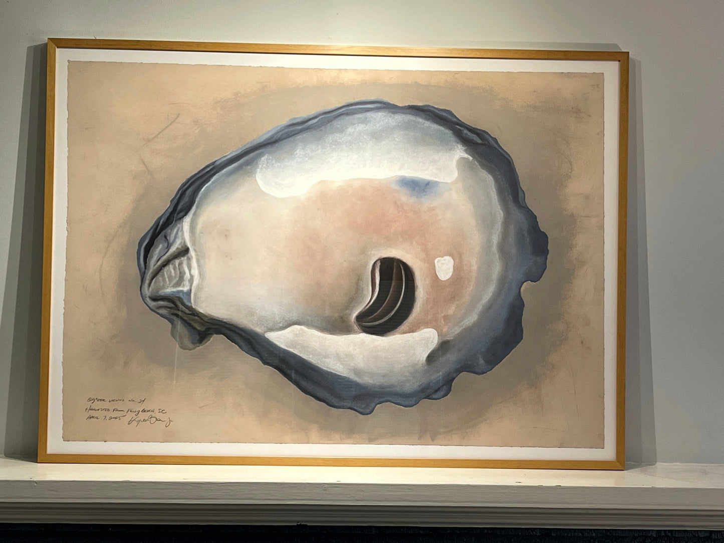 Oyster Venus no. 24