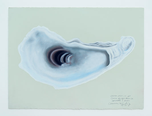 Oyster Venus no. 27