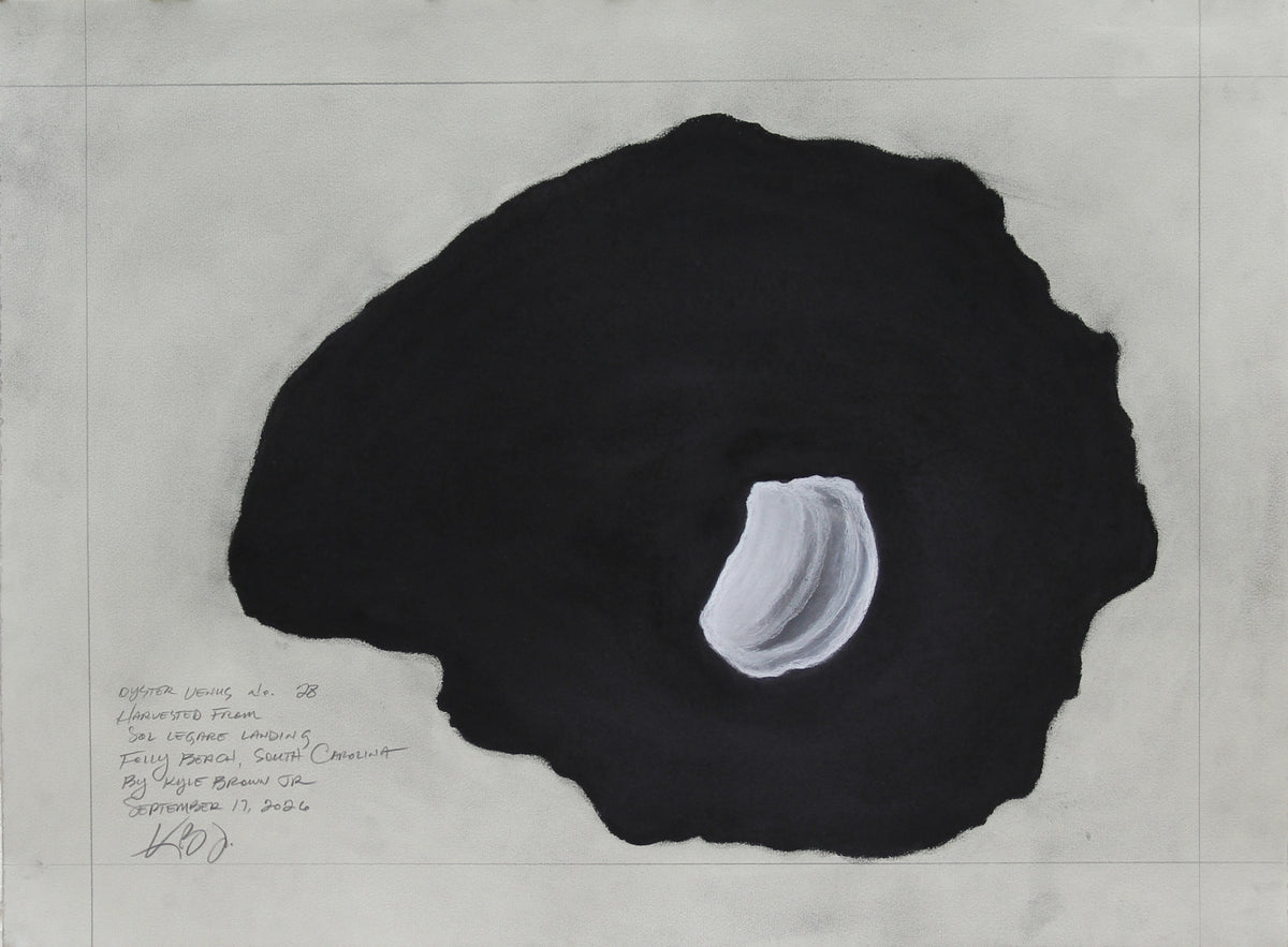 Oyster Venus no. 28