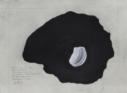 Oyster Venus no. 28
